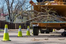 Storm Damage Cleanup