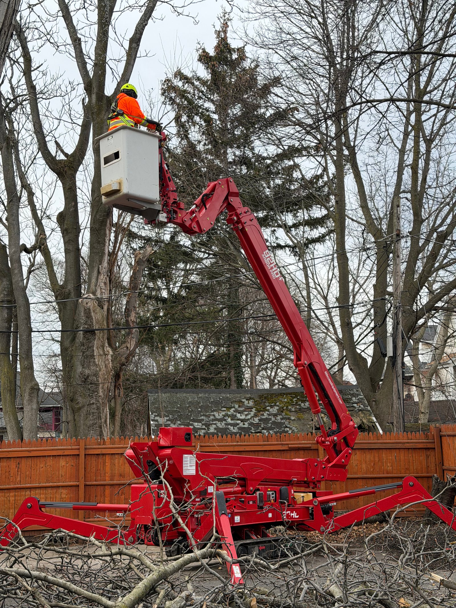 Tree Crown Reduction